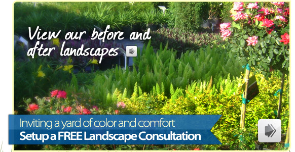 Visit our Green Nursery - Setup a FREE Landscape Consultation
