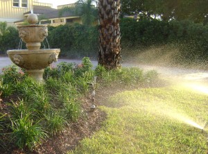 New Sprinkler System Installation