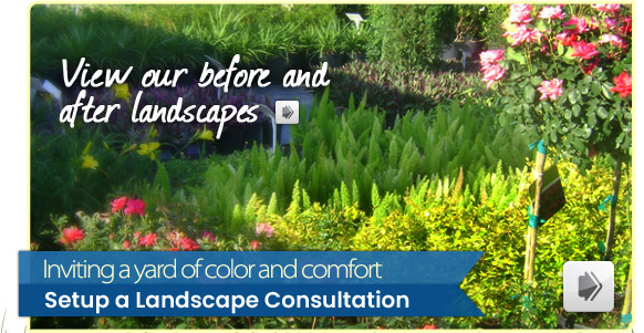 Visit our Green Nursery - Setup a FREE Landscape Consultation